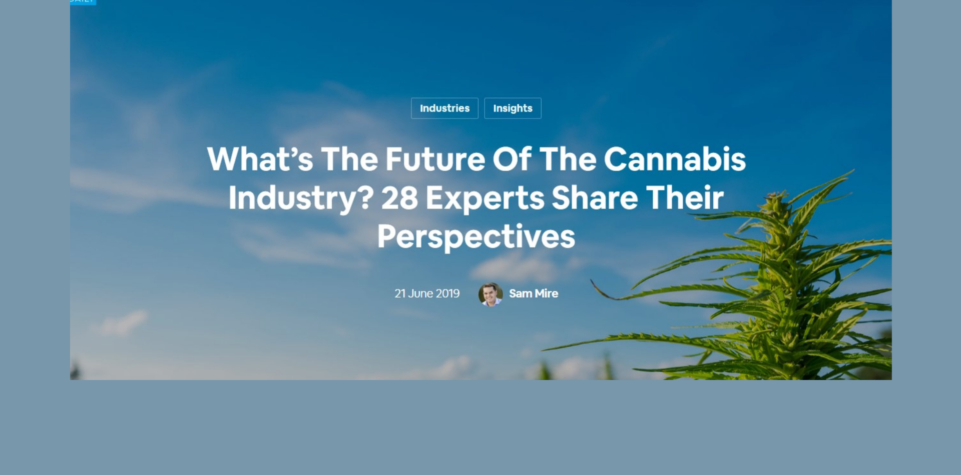 What’s The Future Of The Cannabis Industry? 28 Experts Share Their Perspectives