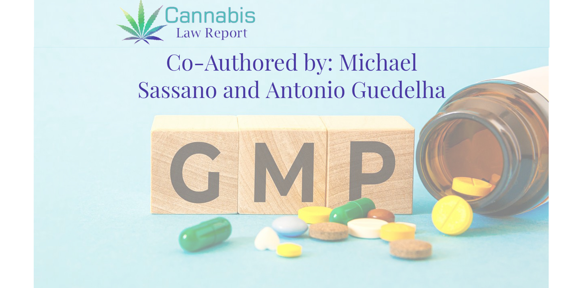 Michael Sassano: GMP Article No 9: Bringing New Products to GMP Facility