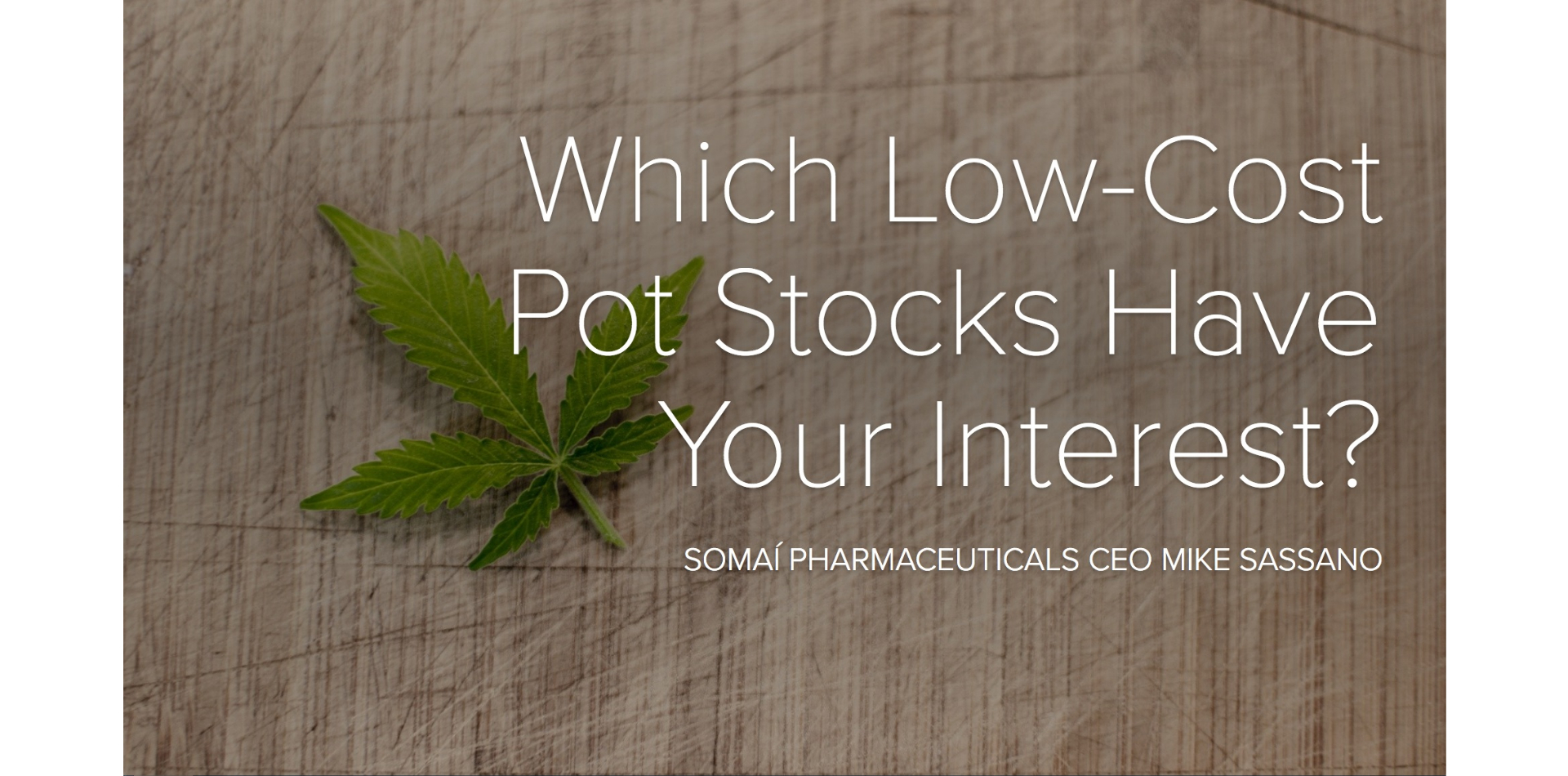 Low-Cost Pot Stocks To Consider, According To SOMAÍ Pharmaceuticals CEO Mike Sassano