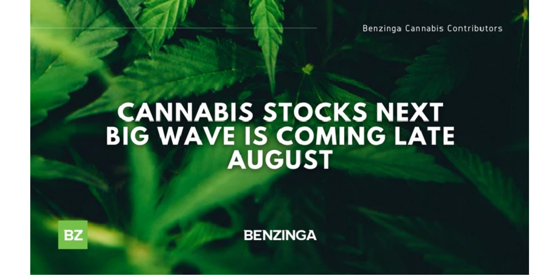 Cannabis Stocks Next Big Wave Is Coming Late August