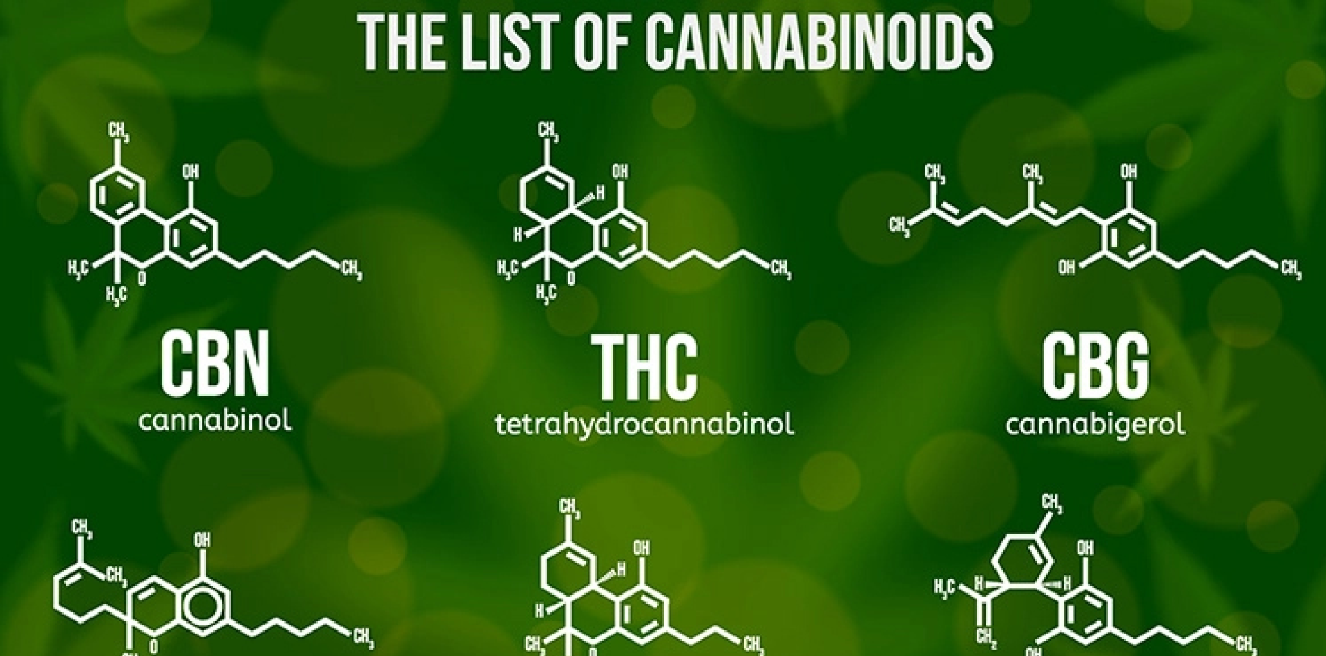 The case for improving absorption for cannabinoids using ethosomes