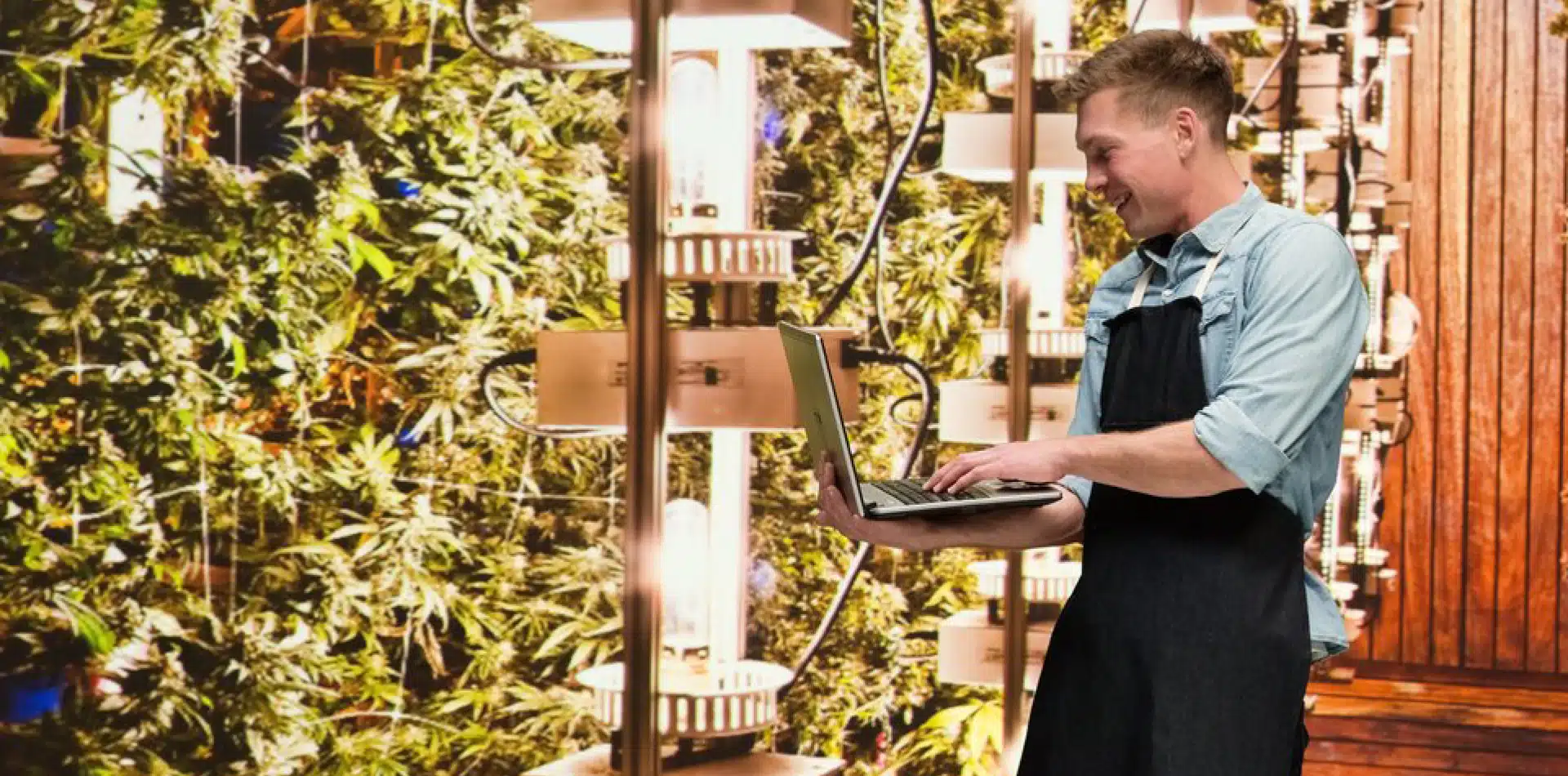 How to Invest in Marijuana