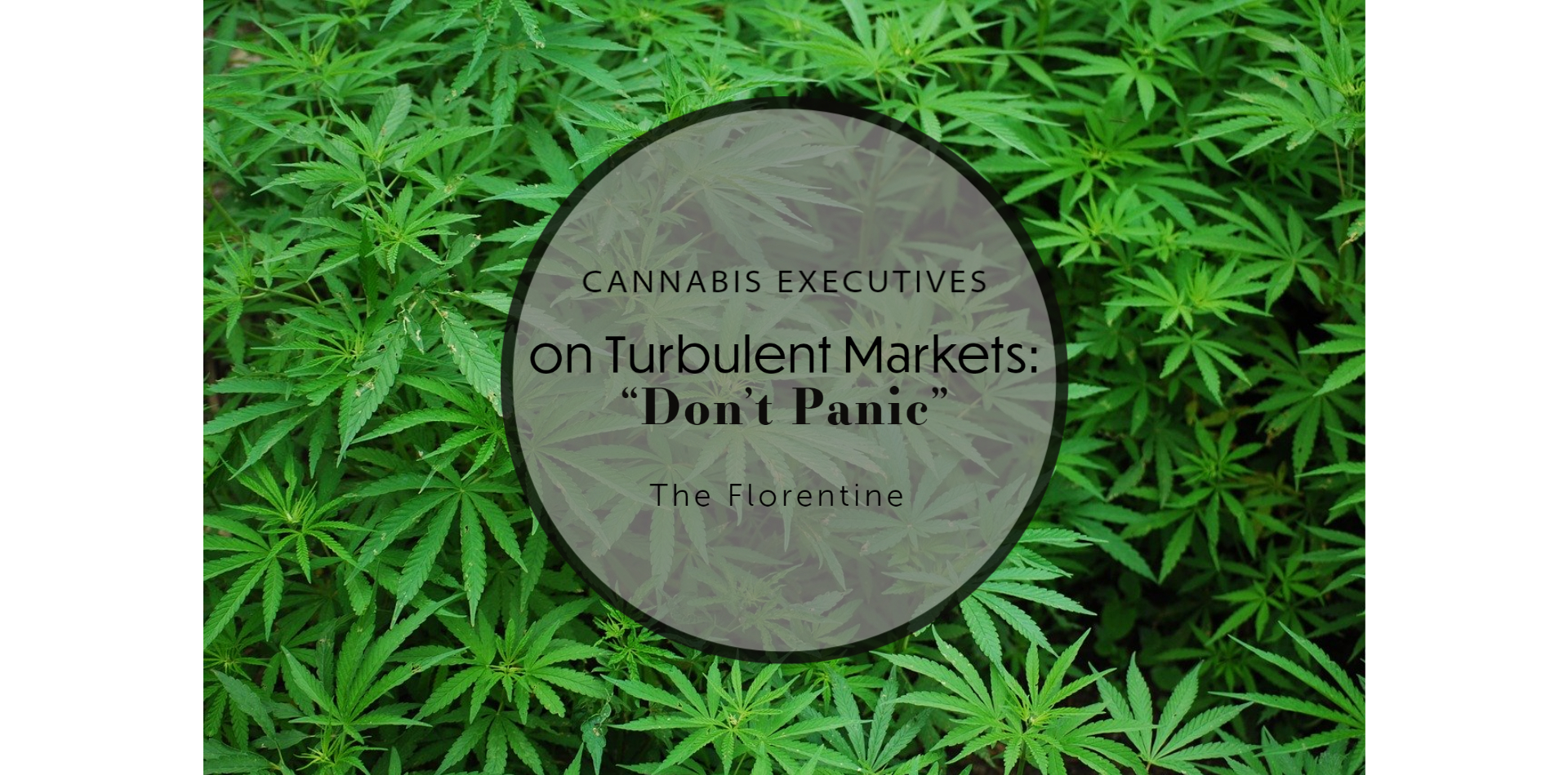 Cannabis Executives on Turbulent Markets: “Don’t Panic”