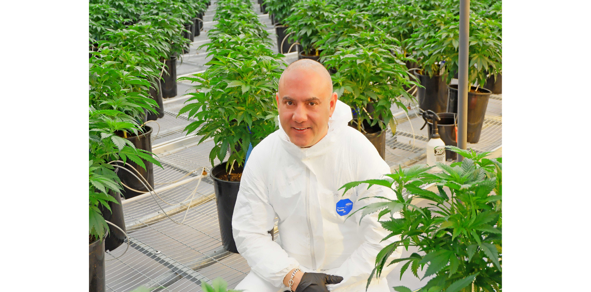 Michael Sassano: the man bringing US cannabis know-how to Europe