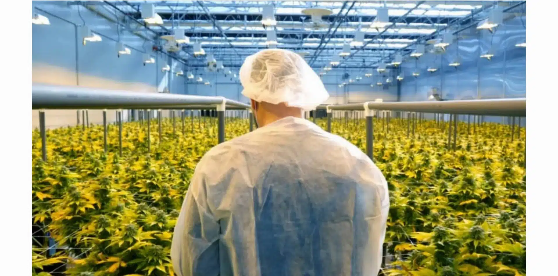 Solaris Farms &#038; Tech-Driven Growing