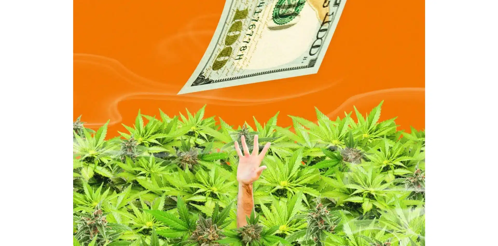 &#8216;The sweet spot for cannabis business opportunities is somewhere between medical and recreational&#8217; &#8211; experts explain how to find it