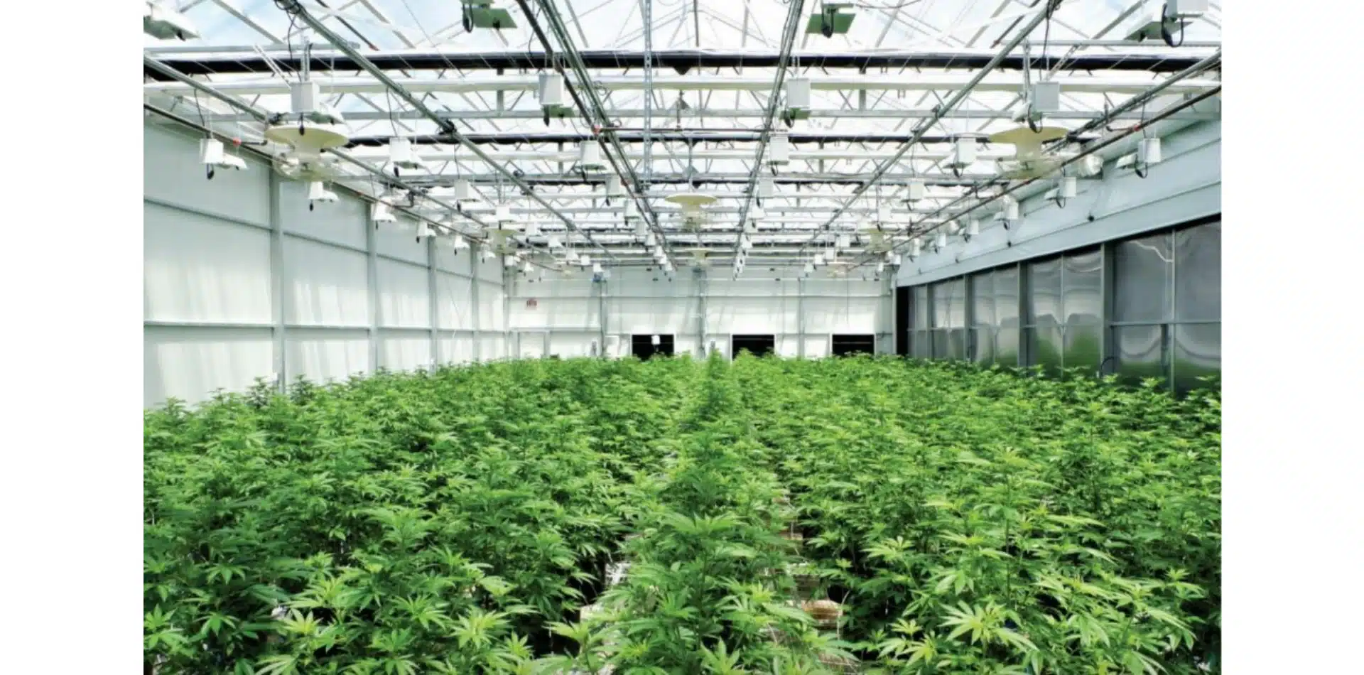 Vegas Hybrid GreenHouse Dominance by Mike Sassano &#8211; page 20