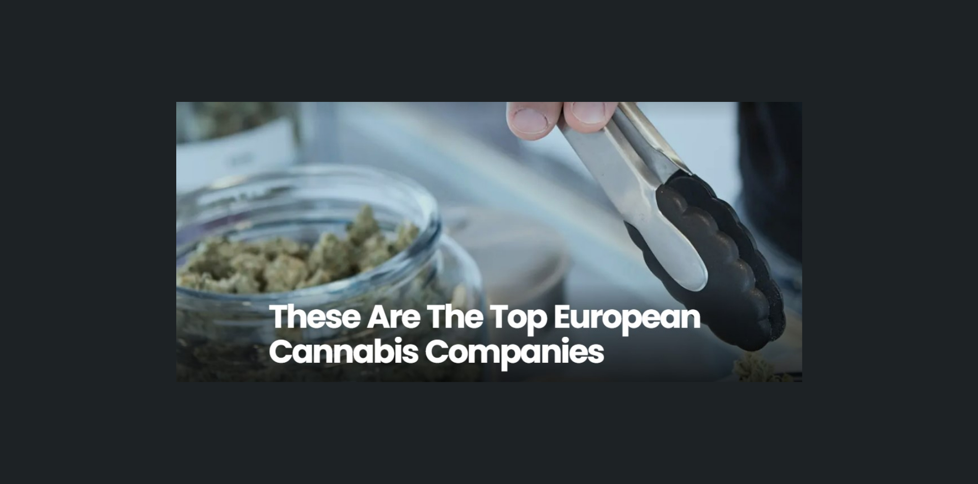 These Are The Top European Cannabis Companies