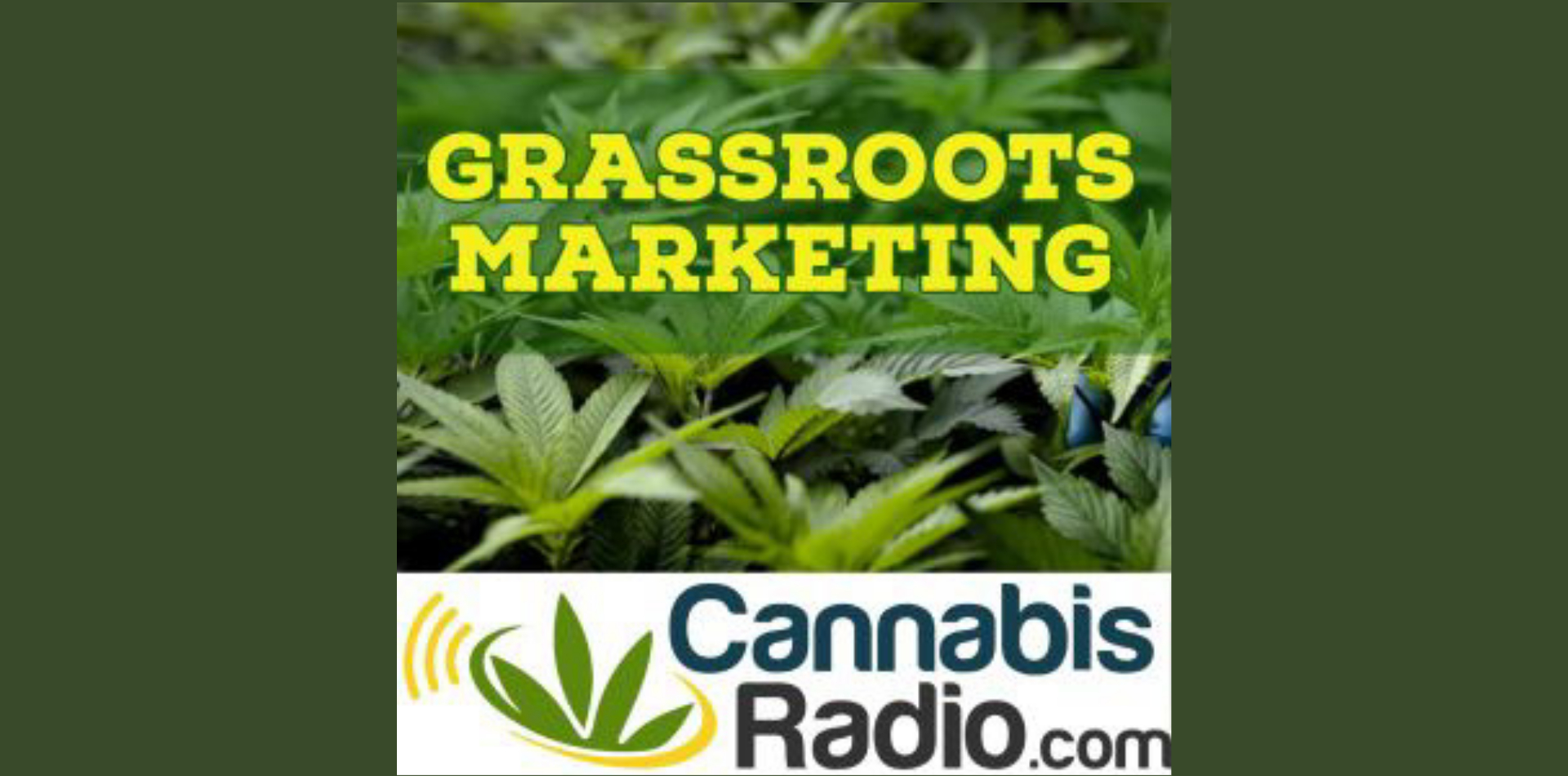 Pharmaceutical Cannabis and The Influence From Big Pharma &#8211; Grassroots Marketing