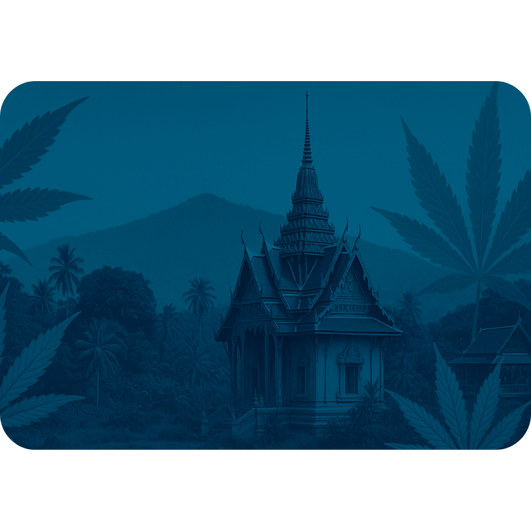 Thailand: The Cannabis Capital of Asia and Beyond